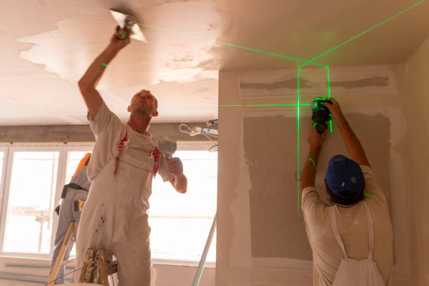 Best Mold Damage Restoration  in South Lockport, NY